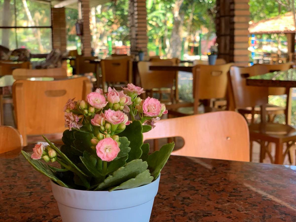Hotel Sao Sebastiao Da Praia Флорианополис Экстерьер фото